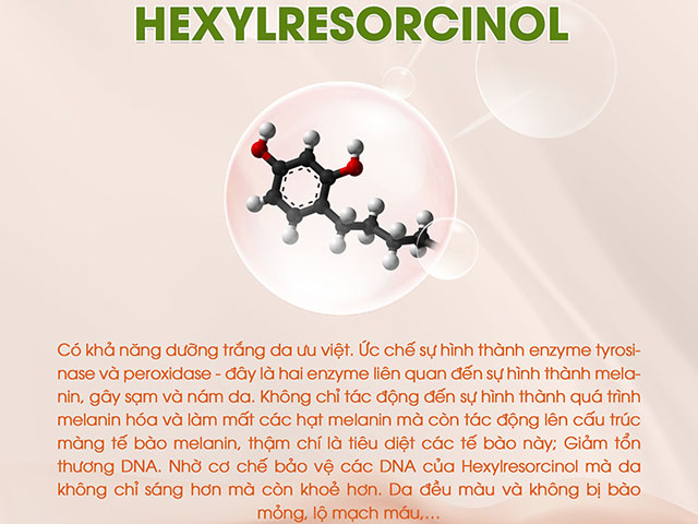 Hexylresorcinol trong Nước hoa hồng dưỡng trắng ngừa nám da The Nature Book Hàn Quốc